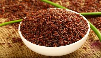 Barley Water Benefits: ʻಈʼ ಪುಟ್ಟ ಕಾಳನ್ನು ನೀರಿನಲ್ಲಿ ನೆನೆಸಿ ಕುಡಿದರೆ ಎಷ್ಟೇ ಹೆಚ್ಚಿದ್ದರು ತಕ್ಷಣ ನಾರ್ಮಲ್‌ ಆಗುತ್ತೆ ಶುಗರ್‌.. ಮಧುಮೇಹಿಳಿಗೆ ಇದು ದಿವ್ಯೌಷಧ