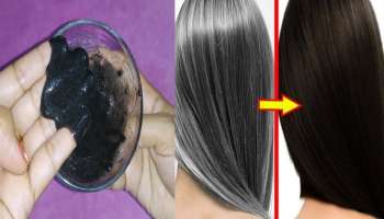 ಈ ಪುಟ್ಟ ಬೀಜಗಳನ್ನು ಅರೆದು ಹಚ್ಚಿದರೆ ಹತ್ತೇ ನಿಮಿಷಗಳಲ್ಲಿ ಬಿಳಿ ಕೂದಲಾಗುವುದು ಕಪ್ಪು !ಕೂದಲು ಉದುರುವುದು ಕೂಡಾ ನಿಲ್ಲುವುದು!