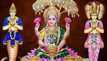 ರಾಹು-ಕೇತು ಸಂಚಾರ: 18ವರ್ಷಗಳ ಬಳಿಕ ಈ ರಾಶಿಯವರಿಗೆ ತೆರೆಯಲಿದೆ ಪ್ರಗತಿಯ ಹಾದಿ, ಕಂಡ ಕನಸುಗಳೆಲ್ಲಾ ಈಡೇರುವ ಸಮಯ 