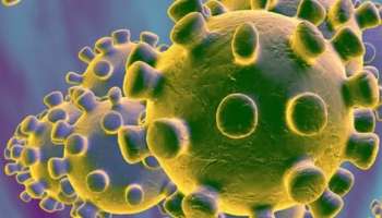 ಮತ್ತೆ ಹರಡುತ್ತಿದೆ ಕೊರೊನಾ..! ಈ ಬಾರಿ ಭಯಾನಕವಾಗಿರುತ್ತಾ ಕೋವಿಡ್‌..?