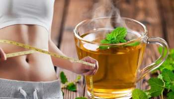 ಈ ಎಲೆಯನ್ನು ನೀರಿನಲ್ಲಿ ಚೆನ್ನಾಗಿ ಕುದಿಸಿ ಕುಡಿದರೆ.. 10 ದಿನದಲ್ಲಿ 7ಕಜಿ ತೂಕ ಕರಗುವುದು!