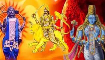 ಮನೆಯ ಮುಂದೆ ಇದೊಂದು ಗಿಡ ಇದ್ದರೆ ಶನಿ, ರಾಹುಕೇತು ವಕ್ರ ದೃಷ್ಟಿಯನ್ನು ತಡೆಯುತ್ತದೆ ! ಯಾವ ಜಾತಕ ದೋಷವೂ ತಾಕುವುದಿಲ್ಲ !