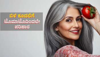 ಟೊಮಾಟೊಗೆ ಇದನ್ನು ಬೆರೆಸಿ ಹಚ್ಚಿದ್ರೆ ಐದೇ ನಿಮಿಷಕ್ಕೆ ಕಪ್ಪಾಗುತ್ತೆ ಬಿಳಿ ಕೂದಲು..! 