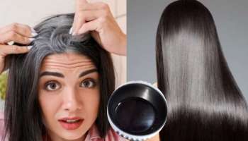 ತೆಂಗಿನೆಣ್ಣೆಯಲ್ಲಿ ಇವುಗಳನ್ನು ಮಿಕ್ಸ್ ಮಾಡಿ ಬಳಸಿದ್ರೆ ಒಂದೇ ಬಾರಿಗೆ ಬಿಳಿ ಕೂದಲು ಗಾಢ ಕಪ್ಪಾಗಿ, ಕಾಂತಿಯುತವೂ ಆಗುತ್ತೆ...! 