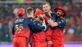 RCB vs PBKS: ಟ್ರೋಫಿಗೆ ಇನ್ನೊಂದೇ ಗೆಲುವು ದೂರ... 9 ವರ್ಷಗಳ ಬಳಿಕ ʼರಾಯಲ್‌ʼ ಆಗಿ ಫೈನಲ್‌ಗೆ ಪ್ರವೇಶಿಸಿದ ಆರ್‌ಸಿಬಿ! ಈ ಸಲ ಕಪ್‌ ನಮ್ದೇನಾ..? 