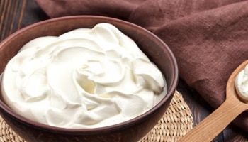 ಅಪ್ಪಿತಪ್ಪಿಯೂ ಈ 4 ಜನರು ಮೊಸರನ್ನು ತಿನ್ನಲು ಹೋಗಬೇಡಿ..!