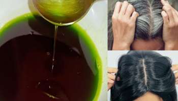 ಹರಳೆಣ್ಣೆಗೆ ಈ ಎಲೆ ಸೇರಿಸಿ ಹಚ್ಚಿದ್ರೆ ಹತ್ತೇ ನಿಮಿಷದಲ್ಲಿ ಬಿಳಿ ಕೂದಲು ಕಪ್ಪಾಗುತ್ತವೆ! ಮತ್ತೇ ಬೆಳ್ಳಗಾಗಲ್ಲ.. 