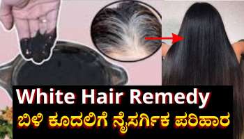 ಬಿಳಿ ಕೂದಲನ್ನು ಪ್ರಕೃತಿದತ್ತವಾಗಿ ಗಾಢ ಕಪ್ಪಾಗಿಸಲು ಲಾಭದಾಯಕ ಈ ಎಲೆ 