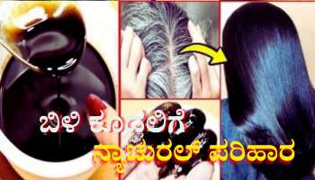 ಒಂದೇ ಬಾರಿಗೆ  ಬೇರುಗಳಿಂದ ಬಿಳಿ ಕೂದಲನ್ನು ಶಾಶ್ವತವಾಗಿ ಕಪ್ಪಾಗಿಸುತ್ತೆ ಈ ಪುಟ್ಟ ಕಾಳು 