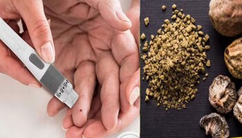 ನಿಮಗೆ ಸಕ್ಕರೆ ಕಾಯಿಲೆ ಇದ್ದರೆ ಈ ಆಯುರ್ವೇದದ ಸಲಹೆಗಳನ್ನು ಅಳವಡಿಸಿಕೊಳ್ಳಿ..! ಇವು ಮಧುಮೇಹಕ್ಕೆ ನಿಜಕ್ಕೂ ರಾಮಬಾಣ..!