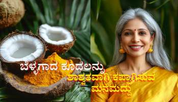 ಹೇರ್ ಡೈ, ಮೆಹಂದಿ ಬೇಕಿಲ್ಲ.. ಕೆಲವೇ ನಿಮಿಷಗಳಲ್ಲಿ ಬೆಳ್ಳಗಾದ ಕೂದಲನ್ನು ಶಾಶ್ವತವಾಗಿ ಕಪ್ಪಾಗಿಸುತ್ತದೆ ಈ ಮನೆಮದ್ದು 