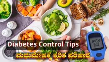 ರಕ್ತದಲ್ಲಿನ ಸಕ್ಕರೆ ಮಟ್ಟ 300ರ ಗಡಿ ದಾಟಿದ್ರೂ ಕೂಡಲೇ ನಿಯಂತ್ರಿಸಬಲ್ಲ ಶುಗರ್ ಕಂಟ್ರೋಲ್ ಆಹಾರಗಳಿವು 