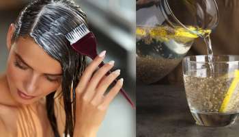 ʻಈʼ ಕಾಳು ನೆನೆಸಿದ ನೀರನ್ನು ನಿಮ್ಮ ಕೂದಲಿಗೆ ಸಿಂಪಡಿಸಿದರೆ ಸಾಕು, ಬೋಳು ತಲೆ ಕಾಣದಂತೆ ದಟ್ಟ, ದಪ್ಪ ಹಾಗೂ ಉದ್ದವಾಗಿ ಬೆಳೆಯುತ್ತೆ ತಲೆ ಕೂದಲು!