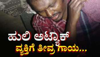 ಬಹಿರ್ದೆಸೆ‌ ಮುಗಿಸಿ ಮನೆಗೆ ತೆರಳುತ್ತಿದ್ದವನ‌ ಮೇಲೆ ಎಗರಿದ ಹುಲಿರಾಯ:  ವ್ಯಕ್ತಿಗೆ ತೀವ್ರ ಗಾಯ 