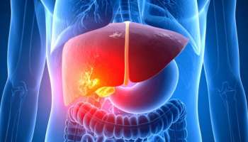 ಮದ್ಯ ಪ್ರಿಯರೇ.. ಎಷ್ಟೇ ಎಣ್ಣೆ ಹೊಡೆದ್ರು ಲಿವರ್‌ ಡ್ಯಾಮೇಜ್‌ ಆಗದಂತೆ ನೋಡಿಕೊಳ್ಳುತ್ತೆ ಈ ಜ್ಯೂಸ್!‌ ವಾರಕ್ಕೊಮ್ಮೆ ಕುಡಿದ್ರೆ ಯಾವ ಅಪಾಯವೂ ಇರಲ್ಲ.. 