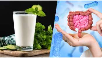 ಮಜ್ಜಿಗೆಯನ್ನ.. ಮರೆಯದೇ ಕುಡಿಯಿರಿ.. ಇಲ್ಲದಿದ್ದರೆ.. ನಿಮ್ಮ ದೇಹದ ಈ ಅಂಗ ಸರಿಯಾಗಿ ಕೆಲಸ ಮಾಡಲ್ಲ..! 