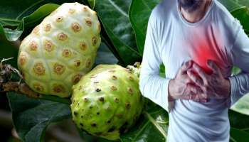 ಹಾರ್ಟ್‌ ಪೇಷಂಟ್‌ಗಳಿಗೆ ಅಮೃತ ಈ ಹಣ್ಣು... ಎಲ್ಲೇ ಕಂಡರೂ ಒಂದಾದರೂ ತಂದು ತಿನ್ನಿ.. ಕೊಲೆಸ್ಟ್ರಾಲ್‌ ಜೊತೆಗೆ ಹೊಟ್ಟೆಯ ಬೊಜ್ಜು ಸಹ ಕರಗುವುದು!