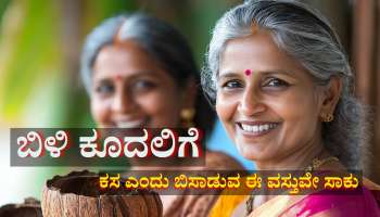 ದುಬಾರಿ ಹೇರ್ ಪ್ರಾಡಕ್ಟ್ ಬೇಡ... ಕಸ ಎಂದು ಬಿಸಾಡುವ ಈ ವಸ್ತುವೇ ಸಾಕು ಬೆಳ್ಳಗಿರುವ ಕೂದಲು ಶಾಶ್ವತವಾಗಿ ಕಪ್ಪಾಗುತ್ತೆ... 