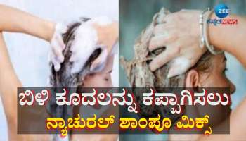 ಒಂದೇ ಬಾರಿಗೆ ಬಿಳಿ ಕೂದಲನ್ನು ಶಾಶ್ವತವಾಗಿ ಕಪ್ಪಾಗಿಸುತ್ತೆ ಈ ಶಾಂಪೂ ಮಿಕ್ಸ್ 