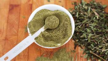 Diabetes: ನಿಮ್ಮ ಹಿತ್ತಲಲ್ಲಿ ಬೆಳೆಯುವ ʻಈʼ ಎಲೆ ಮಧುಮೇಹಿಗಳಿಗೆ ಅಮೃತ.. ಔಷಧಿ ಇಲ್ಲದೆ ಸೆಕೆಂಡಗಳಲ್ಲಿ ಶುಗರ್‌ ಕಂಟ್ರೋಲ್‌ ಮಾಡಬಲ್ಲ ದಿವ್ಯೌಷಧ