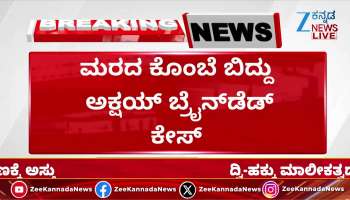 Akshay brain dead after falling tree branch
