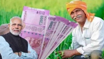 PM Kisan: PM Kisan 20ನೇ ಕಂತಿನ ಹಣ ಬಿಡುಗಡೆ.. ಫಲಾನುಭವಿಗಳ ಪಟ್ಟಿಯನ್ನು ಹೀಗೆ ಪರಿಶೀಲಿಸಿ..