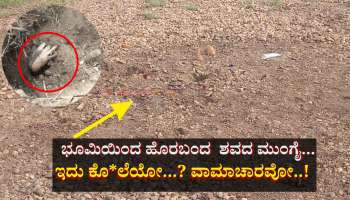 ಭೂಮಿಯಿಂದ ಹೊರಬಂದ  ಶವದ ಮುಂಗೈ!!  ಕೊ*ಲೆಯೋ...? ವಾಮಾಚಾರವೋ..! 