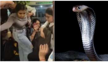 ಮೆಟ್ರೋ ಮಹಿಳೆಯರ ಕಂಪಾರ್ಟ್‌ಮೆಂಟ್‌ನಲ್ಲಿ ಹಾವು ಪ್ರತ್ಯಕ್ಷ..! ಅಲ್ಲಿಗೆ ಹೇಗೆ ಬಂದ ನಾಗಪ್ಪ..? ವಿಡಿಯೋ ವೈರಲ್‌..