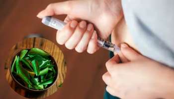 ಬೆಳಗೆದ್ದು ಈ ಎಲೆ ಜಗಿದು ತಿಂದರೆ.. ದಿನವಿಡಿ ಏನೇ ತಿಂದರೂ ಬ್ಲಡ್‌ ಶುಗರ್‌ ಕಂಟ್ರೋಲ್‌ನಲ್ಲಿರುತ್ತೆ!