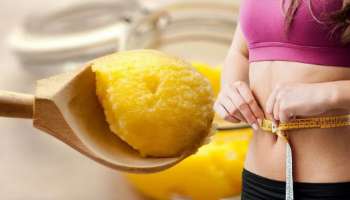 ತುಪ್ಪದ ಜೊತೆ ಈ ಒಂದು ಪುಡಿ ಬೆರೆಸಿ ತಿನ್ನಿ.. ತೂಕ ಕಡಿಮೆಯಾಗಿ ಹೊಟ್ಟೆ ಸೊಂಟದ ಕೊಬ್ಬು ಸಹ ಕರಗುವುದು! 