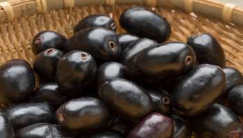 ನೇರಳೆ ಹಣ್ಣಿಗೆ ಉಪ್ಪು ಹಾಕಿ ತಿಂದರೆ ಆರೋಗ್ಯದ ಮೇಲಾಗುವ ಪರಿಣಾಮ ಏನು?