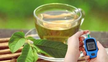 ತ್ವರಿತವಾಗಿ ಬ್ಲಡ್ ಶುಗರ್ ಕಡಿಮೆ ಮಾಡಲು ಮ್ಯಾಜಿಕಲ್ ಚಹಾ