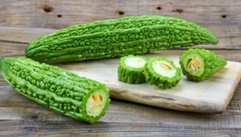 ಹಾಗಲಕಾಯಿ: ಕಹಿಯಾದರೂ ಆರೋಗ್ಯದ ಗಣಿ