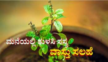 ಮನೆಯಲ್ಲಿ ತುಳಸಿ ಸಸ್ಯದೊಂದಿಗೆ ಯಾವುದೇ ಕಾರಣಕ್ಕೂ ಈ ಗಿಡ ನೆಡಬೇಡಿ.. ಇಲ್ಲ ತಪ್ಪಿದ್ದಲ್ಲ ಅನಾಹುತ...! 