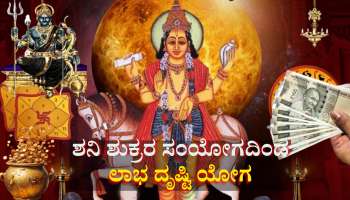 ಶುಕ್ರ ಶನಿಯಿಂದ ಲಾಭ ದೃಷ್ಟಿ ಯೋಗ: ಈ ರಾಶಿಯವರಿಗೆ ಬಂಪರ್ ಆದಾಯ,  ಕಷ್ಟಗಳೆಲ್ಲಾ ಕಳೆದು ಸುಖದ ಜೀವನ, ಸ್ವಂತ ಮನೆ ಖರೀದಿಸುವ ಸುಯೋಗ  