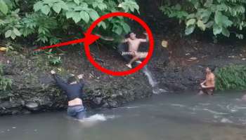 ಕಾಡಿನಲ್ಲಿ ನೀರಿಗಿಳಿಯುವ ಮುನ್ನ ಎಚ್ಚರ.. ಈ ವಿಡಿಯೋ ನೋಡಿ ನಿಮ್ಗೆ ಎಲ್ಲಾ ಅರ್ಥವಾಗುತ್ತೆ..! 