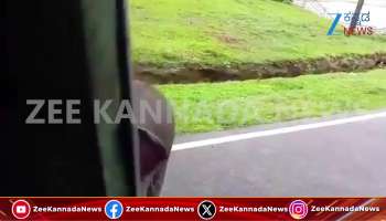 Baby elephant viral video