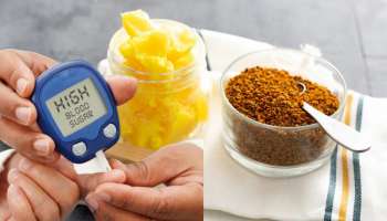 ತುಪ್ಪಕ್ಕೆ ಈ ಪುಡಿ ಬೆರೆಸಿ ತಿಂದ್ರೆ ಸದಾ ನಾರ್ಮಲ್‌ ಆಗಿಯೇ ಇರುವುದು ಶುಗರ್!‌ ಪಥ್ಯವೆಲ್ಲ ಬೇಡವೇ ಬೇಡ.. 