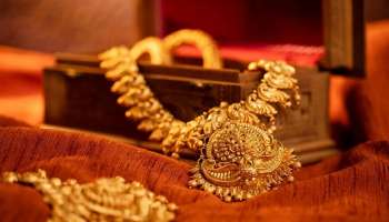 Gold Price Prediction: ಮತ್ತಷ್ಟು ಇಳಿಕೆಯಾಗಲಿದ್ಯಾ ಚಿನ್ನದ ಬೆಲೆ? 2025 ಡಿಸೆಂಬರ್ ವೇಳೆಗೆ ಎಷ್ಟಾಗಲಿದೆ ಗೊತ್ತಾ ಬಂಗಾರದ ದರ?