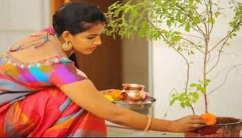 ಶ್ರಾವಣದಲ್ಲಿ ತುಳಸಿ ಇದೊಂದು ವಸ್ತು ಬೆರೆಸಿ ನೀರು ಅರ್ಪಿಸಿದರೆ ಜನ್ಮ ಪೂರ್ತಿ ಕರಗದಷ್ಟು ಸಂಪತ್ತು ಒಲಿದು ಬರುವುದು!  