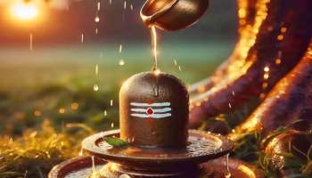 ಜುಲೈ 11 ರಿಂದ ಶಿವಲಿಂಗ ಪೂಜೆಯ ವೇಳೆ ಈ ತಪ್ಪು ಮಾಡಬೇಡಿ..! ನಿಮ್ಮ ಪೂಜೆಗೆ ತಕ್ಕ ಫಲ ಸಿಗುವುದೇ ಇಲ್ಲ..