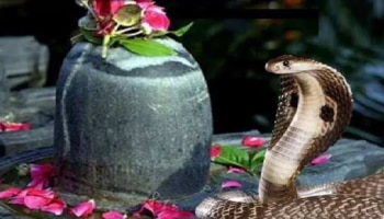 ಶ್ರಾವಣ ಮಾಸದಲ್ಲಿ ನಿಮ್ಮ ಕನಸಲ್ಲಿ ಹಾವು ಕಂಡರೆ ಏನರ್ಥ? ಒಳ್ಳೆಯದಾ ಅಥವಾ ಕೆಟ್ಟದ್ದಾ..?