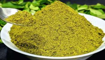 White Hair Remedies: ಗೋರಂಟಿ ಅಲ್ಲ.. ʻಈʼ ಎಲೆಯ ಪುಡಿಯನ್ನು ಮೊಸರಿನಲ್ಲಿ ಬೆರೆಸೆ ತಲೆಗೆ ಹಚ್ಚಿದರೆ ಸೆಕೆಂಡುಗಳಲ್ಲೇ ಬೇರಿನಿಂದ ಕಪ್ಪಾಗುತ್ತೆ ಬಿಳಿ ಕೂದಲು..! 