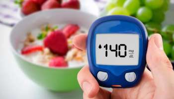 Diabetes Control: ಸಕ್ಕರೆ ತಿಂದ ನಂತರವೂ ಶುಗರ್‌ ಅನ್ನು ಸಕೆಂಡುಗಳಲ್ಲಿ ಕಂಟ್ರೋಲ್‌ ಮಾಡಬಲ್ಲ ಆಹಾರಗಳಿವು.. ಮಧುಮೇಹಿಗಳಿಗೆ ಅಮೃತಕ್ಕಿಂತಲೂ ಮಿಗಿಲಾದದ್ದು