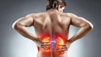 ದೇಹದಲ್ಲಿ ಈ ಲಕ್ಷಣಗಳು ಕಾಣಿಸಿಕೊಂಡ್ರೆ ಖಂಡಿತ ಕಿಡ್ನಿ ಅಪಾಯದಲ್ಲಿದೆ ಎಂದರ್ಥ! ನಿರ್ಲಕ್ಷಿಸಿದ್ರೆ ಅಷ್ಟೇ.. 