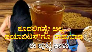 ಕೂದಲಿಗೆ ದಿವ್ಯೌಷಧಿಯಾದ ಈ ಕಾಳನ್ನು ತುಪ್ಪದಲ್ಲಿ ಹುರಿದು ತಿಂದರೆ ಸಾಕು.. ಕ್ಷಣಮಾತ್ರದಲ್ಲಿ ಕಂಟ್ರೋಲ್‌ ಆಗುತ್ತೆ ಶುಗರ್‌ 