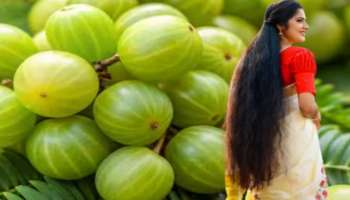 ಹೇರ್‌ ಡೈ ಬೇಕಿಲ್ಲ... ಈ ಕಾಯಿಯನ್ನು ಅರೆದು ನಿಂಬೆ ರಸ ಬೆರೆಸಿ ಹಚ್ಚಿ ಬಿಳಿ ಕೂದಲನ್ನು 10 ನಿಮಿಷದಲ್ಲೇ ಕಪ್ಪಾಗಿಸುವುದು!