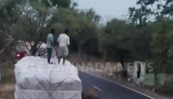 Wild elephant becomes checking officer on national highway