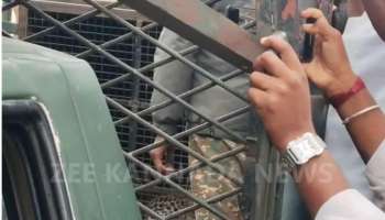 Leopard caught in a cage video viral