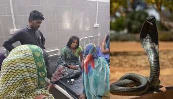 ಹಾವಿನ ಮರಿಗಳಿಗೆ ಜನ್ಮ ನೀಡಿದ ಮಹಿಳೆ.. ಸುದ್ದಿ ತಿಳಿದು ವೈದ್ಯ ಲೋಕವೇ ಶಾಕ್‌